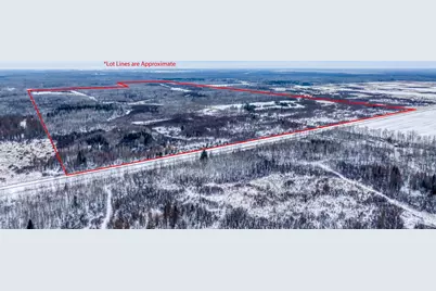 Tbd Fourtown Road NW, Grygla, MN 56727 - Photo 5