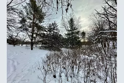 Tbd 162nd Street NW, Big Lake, MN 55309 - Photo 3