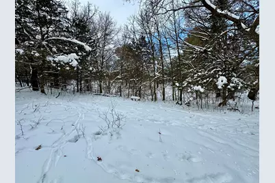 Tbd 162nd Street NW, Big Lake, MN 55309 - Photo 7