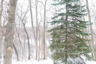 8566 Oak Hill Cir, Credit River Township, MN 55372 - Photo 37