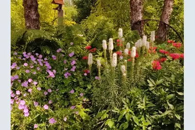 2945 County Road 4 SW #217, Cokato, MN 55321 - Photo 23