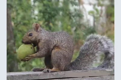 2945 County Road 4 SW #217, Cokato, MN 55321 - Photo 25