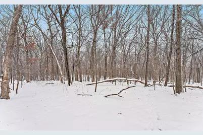 3228 151st Avenue NE, Ham Lake, MN 55304 - Photo 45