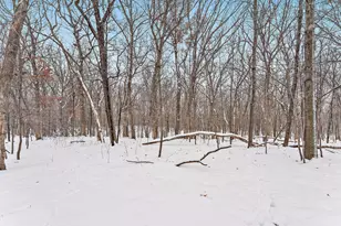 3228 151st Ave NE, Ham Lake, MN 55304 - Photo 45