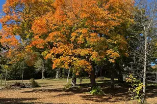 13276 Donnie Jay Ln, Detroit Lakes, MN 56501 - Photo 33