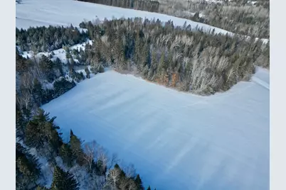 13988 590th Avenue, Menahga, MN 56464 - Photo 35