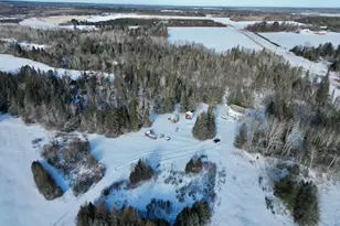 13988 590 Ave, Menahga, MN 56464 - Photo 31