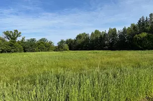 20247 410th Ave, Roseau, MN 56751 - Photo 19