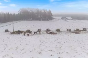 13601 E County Rd 578, Goodland, MN 55742 - Photo 7