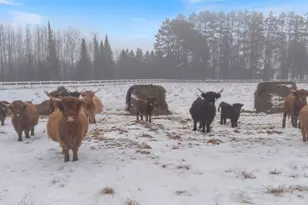 13601 E County Rd 578, Goodland, MN 55742 - Photo 3