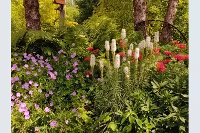 2945 County Road 4 SW #521, Cokato, MN 55321 - Photo 15