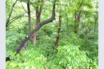 2945 County Road 4 SW #341, Cokato, MN 55321 - Photo 23