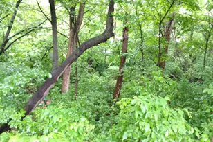 2945 County Road 4 SW, Cokato, MN 55321 - Photo 23