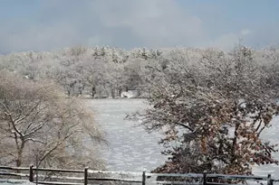 318 McCarrons Blvd S, Roseville, MN 55113 - Photo 49