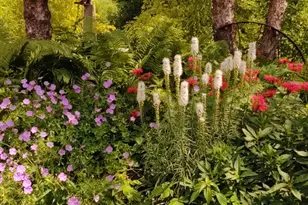 2945 County Road 4 SW, Cokato, MN 55321 - Photo 27