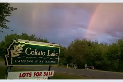 2945 County Road 4 #121 SW, Cokato, MN 55321 - Photo 1
