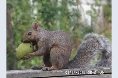 2945 County Road 4 #144 SW, Cokato, MN 55321 - Photo 11