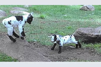 2945 County Road 4 SW #109, Cokato, MN 55321 - Photo 25