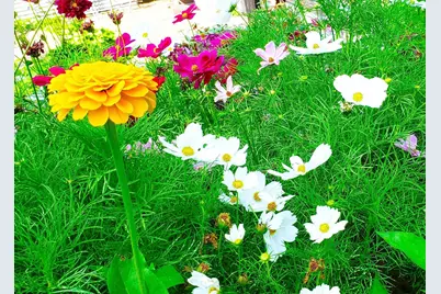 E2044 770th Avenue, Knapp, WI 54749 - Photo 5