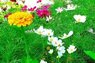 E2044 770th Ave, Knapp, WI 54749 - Photo 5