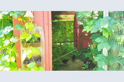 E2044 770th Avenue, Knapp, WI 54749 - Photo 67