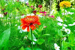 E2044 770th Ave, Knapp, WI 54749 - Photo 49