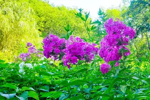 E2044 770th Ave, Knapp, WI 54749 - Photo 47