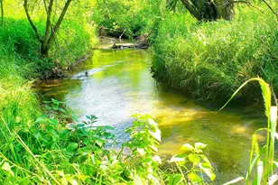 E2044 770th Ave, Knapp, WI 54749 - Photo 7