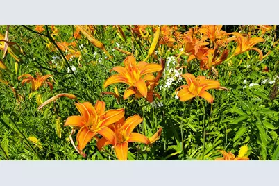 E2044 770th Avenue, Knapp, WI 54749 - Photo 65