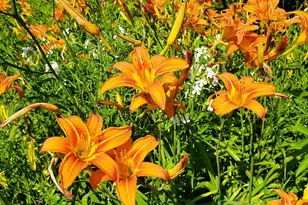 E2044 770th Ave, Knapp, WI 54749 - Photo 65