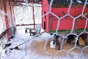 E2044 770th Ave, Knapp, WI 54749 - Photo 43