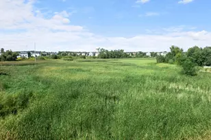 12202 Opal St NE, Blaine, MN 55449 - Photo 39