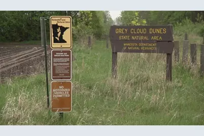 10482 Goodview Avenue S, Cottage Grove, MN 55016 - Photo 21