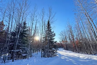 12039 Island Daisy Lane, Park Rapids, MN 56470 - Photo 17