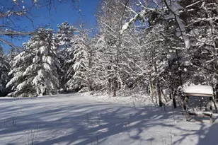 15660 Co Hwy M, Cable, WI 54821 - Photo 35