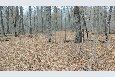 Lot 5 Cnute Creek Trl, Grantsburg, WI 54840 - Photo 9