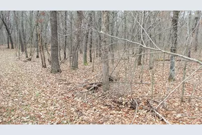 Lot 5 Cnute Creek Trl, Grantsburg, WI 54840 - Photo 7