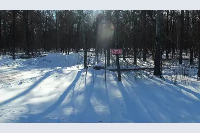 Lot 5 Cnute Creek Trl, Grantsburg, WI 54840 - Photo 11