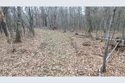 Lot 5 Cnute Creek Trl, Grantsburg, WI 54840 - Photo 3