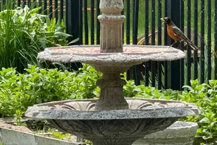 425 Prospect St, Peterson, MN 55962 - Photo 39