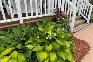 425 Prospect St, Peterson, MN 55962 - Photo 37