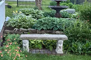 425 Prospect St, Peterson, MN 55962 - Photo 39