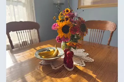 425 Prospect Street, Peterson, MN 55962 - Photo 7