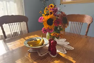 425 Prospect St, Peterson, MN 55962 - Photo 7