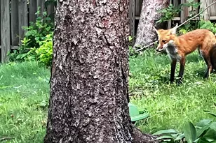 700 Point Douglas Rd S, Saint Paul, MN 55119 - Photo 43