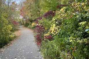 1467 Summit Shores E, Burnsville, MN 55306 - Photo 25