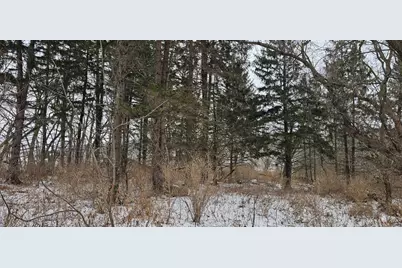 15737 403rd Avenue, Canton, MN 55922 - Photo 3