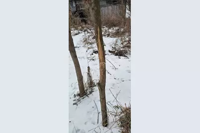 15737 403rd Avenue, Canton, MN 55922 - Photo 11