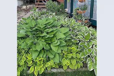 2884 Knollwood Drive SE, Rochester, MN 55904 - Photo 35