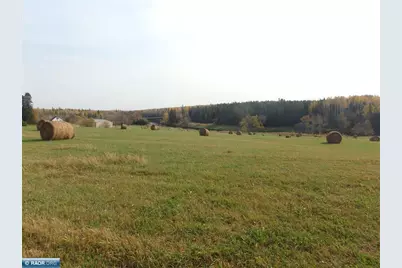 10705 Highway 65, Gheen, MN 55771 - Photo 41